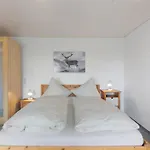 بيت ضيافة Birgit 3*