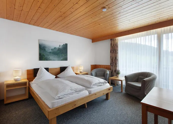 Pensionat Birgit Todtnauberg